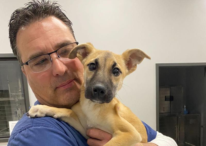 Richmond Veterinary Clinic Richmond veterinarians